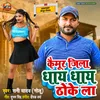 About Kaimur Jila Dhay Dhay Thoke La Song